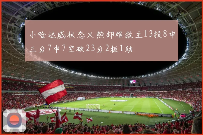小哈达威状态火热却难救主13投8中三分7中7空砍23分2板1助