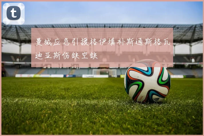 曼城应急引援格伊填补斯通斯格瓦迪亚斯伤缺空缺