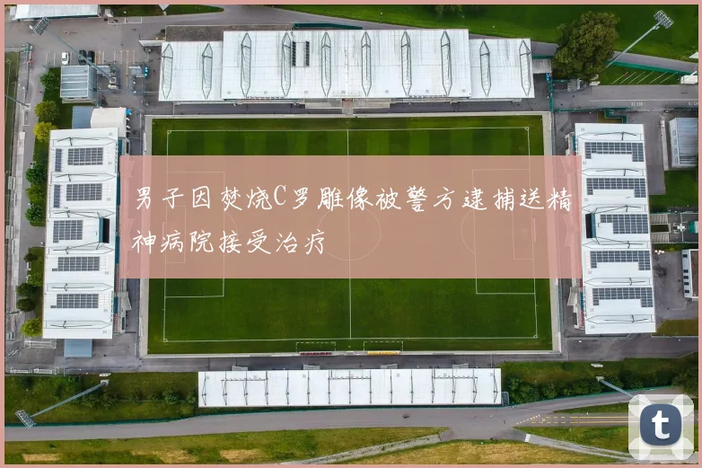 男子因焚烧C罗雕像被警方逮捕送精神病院接受治疗