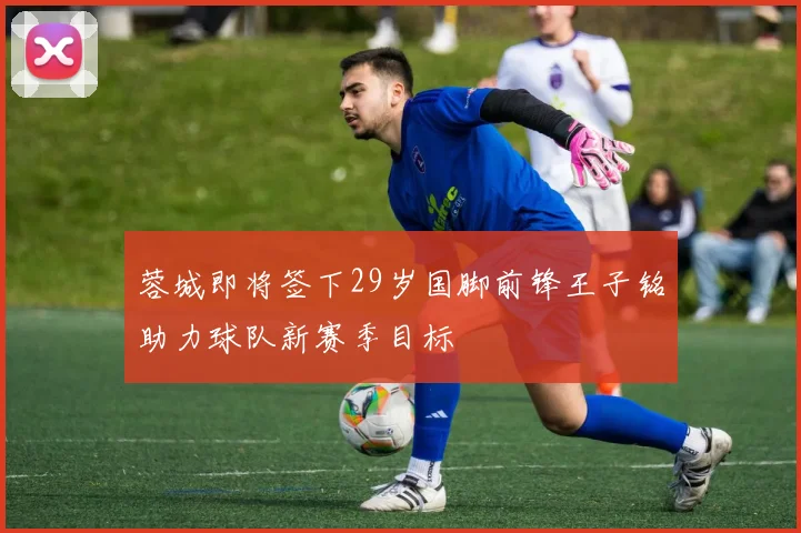 蓉城即将签下29岁国脚前锋王子铭助力球队新赛季目标