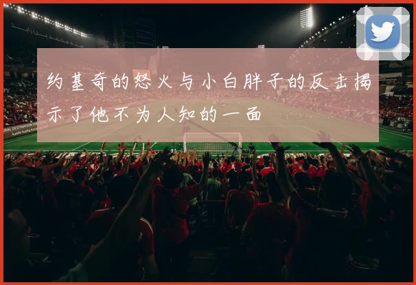 约基奇的怒火与小白胖子的反击揭示了他不为人知的一面